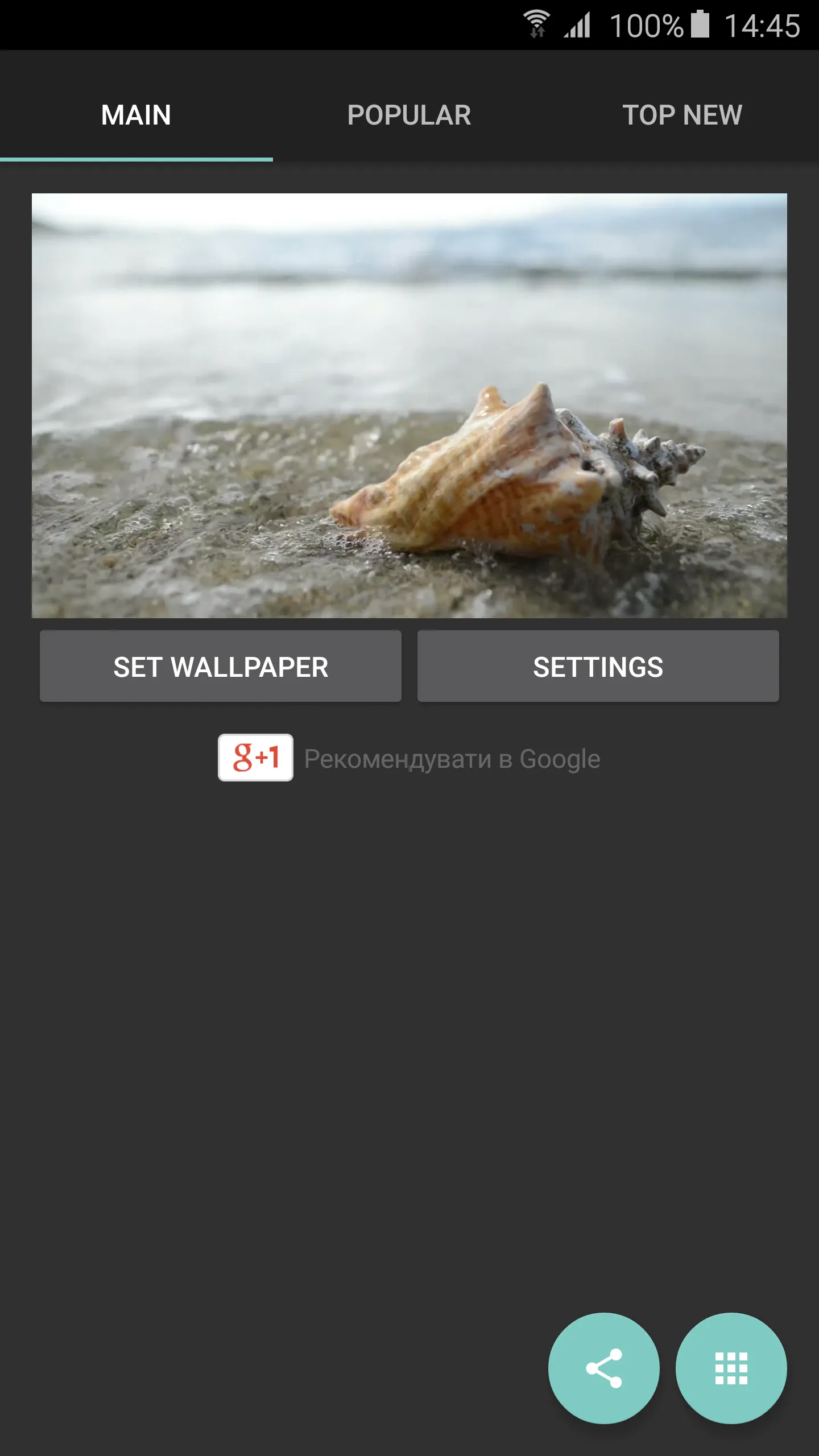 Sea Shell 4K Live Wallpaper | Indus Appstore | Screenshot