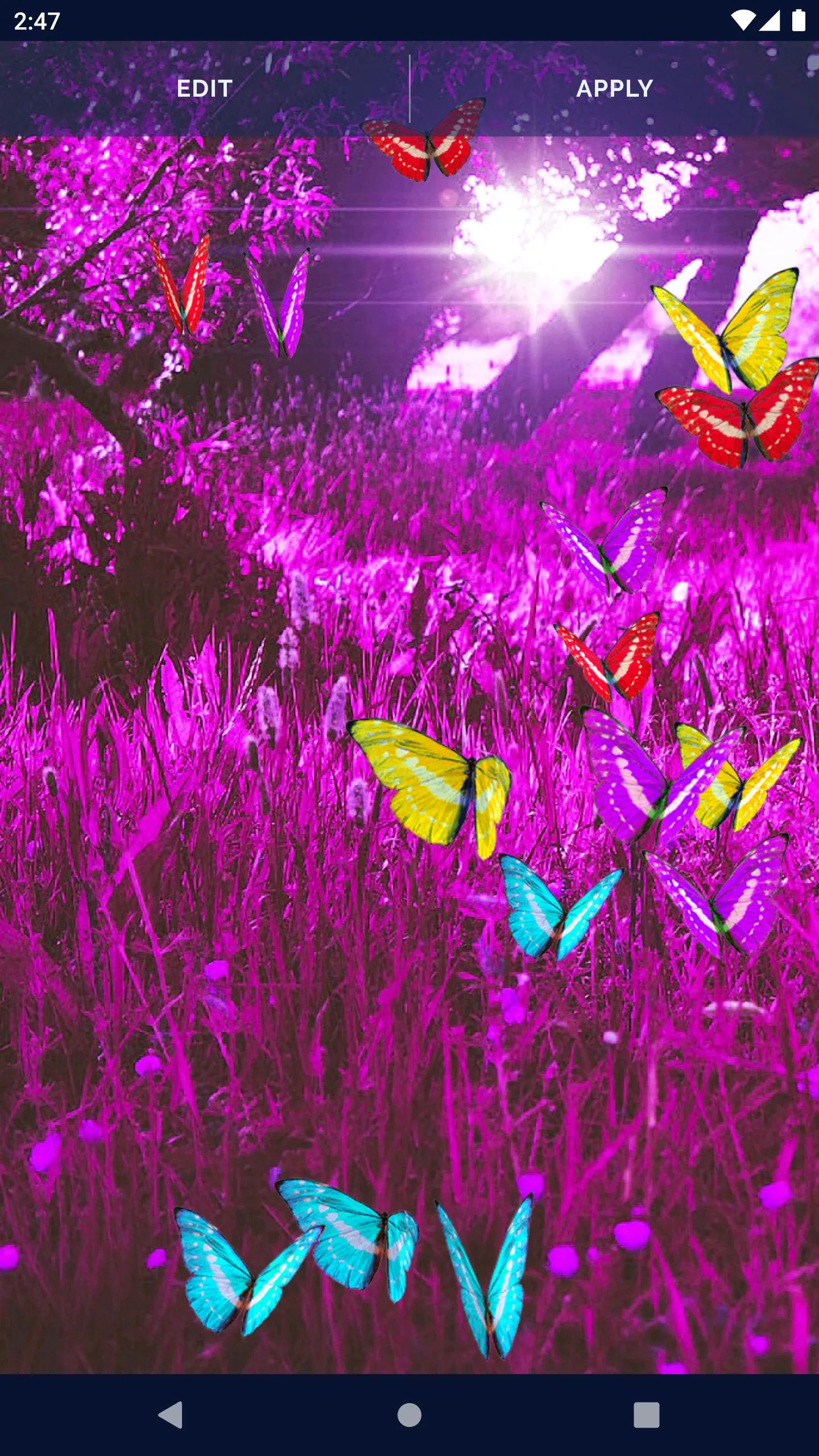 Butterfly Live Wallpaper | Indus Appstore | Screenshot