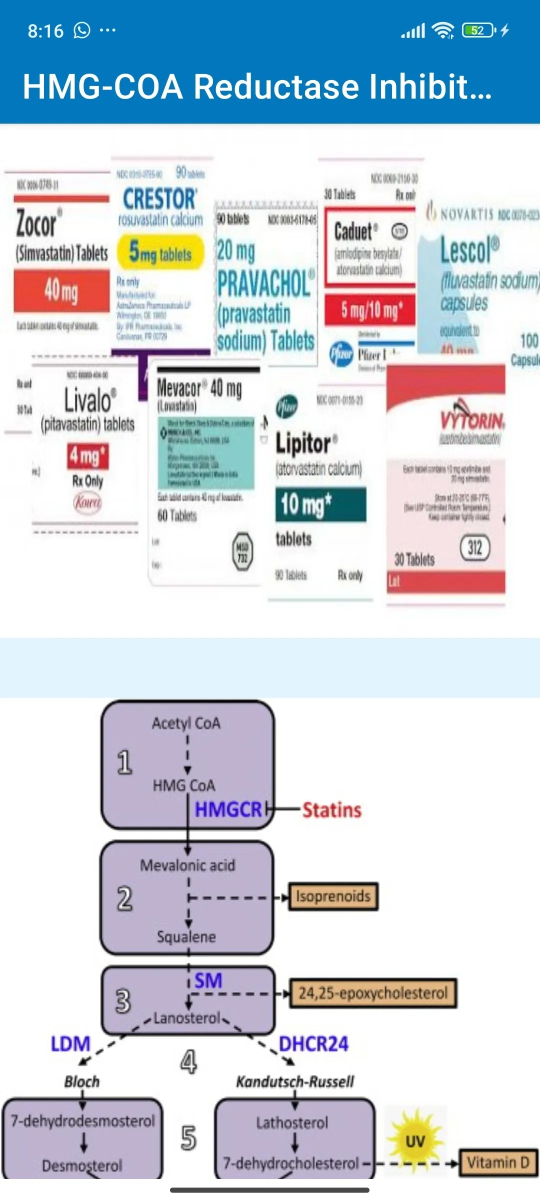 Simple Pharmacology | Indus Appstore | Screenshot