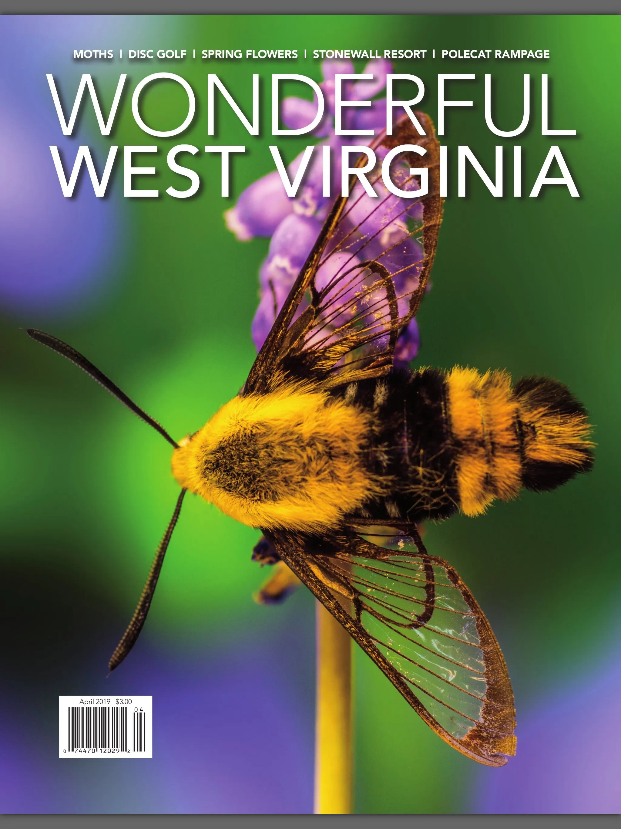 Wonderful West Virginia | Indus Appstore | Screenshot