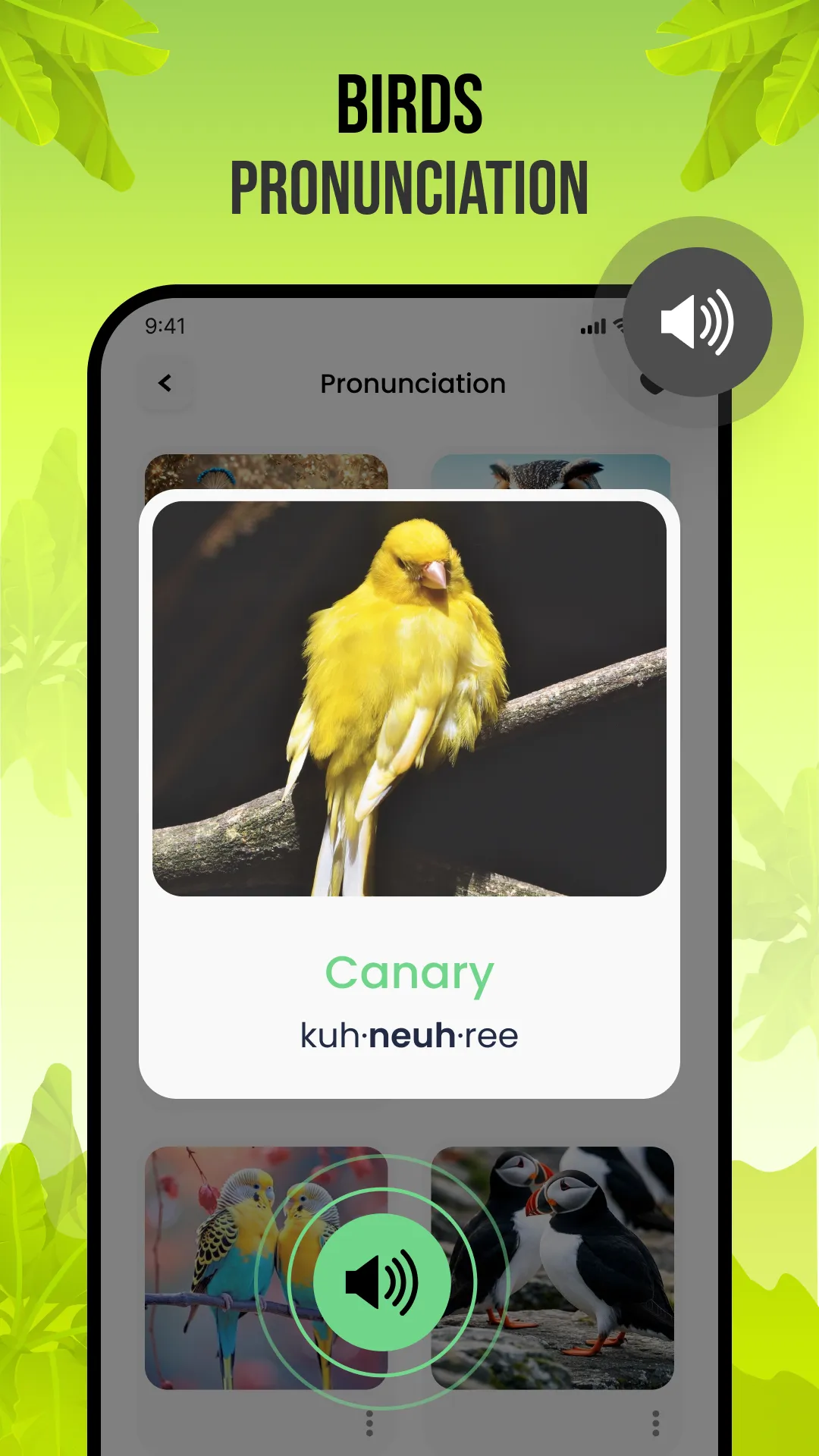 Birds Sounds | Indus Appstore | Screenshot