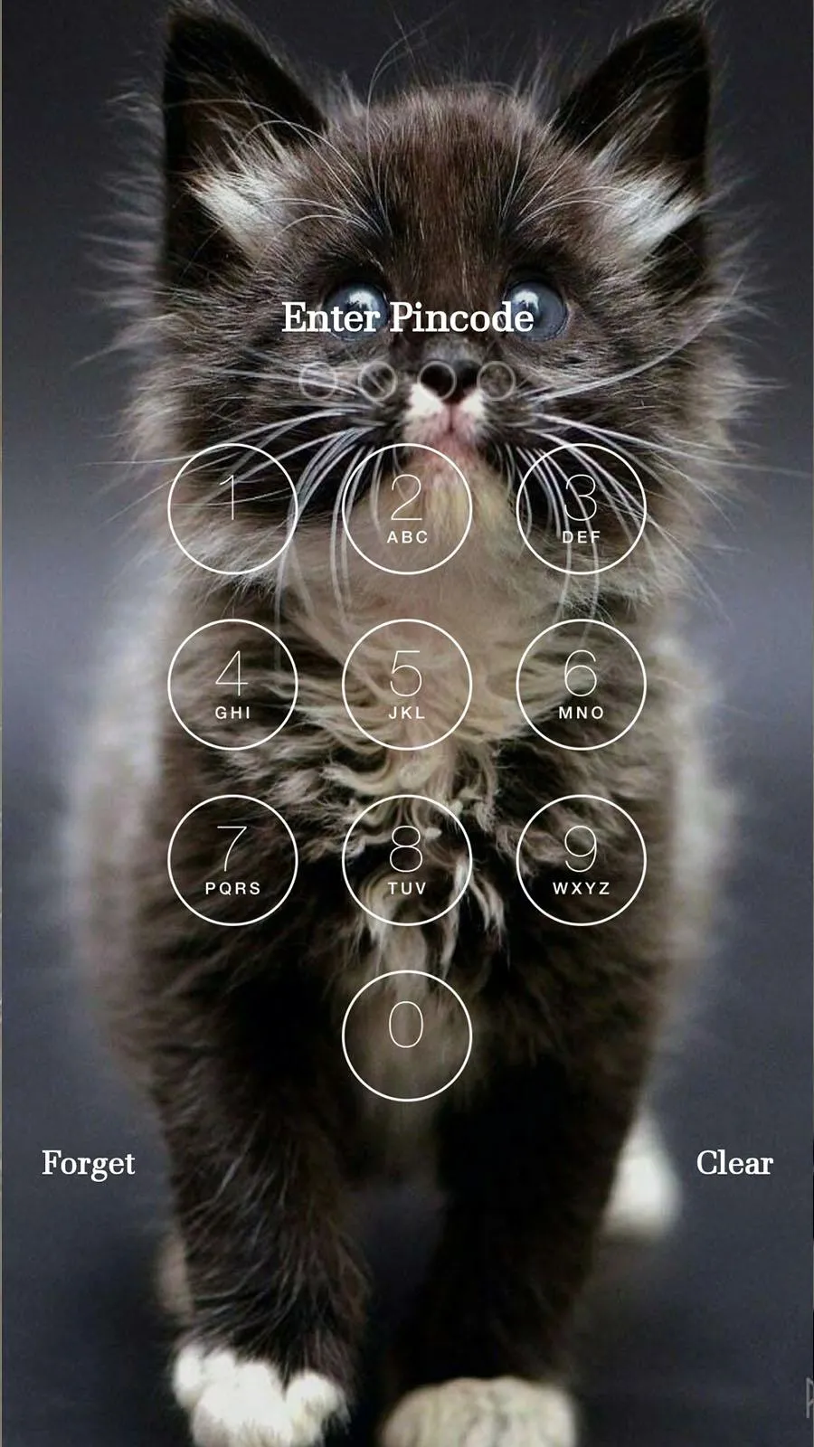 Kitty Cat Password Lock Screen | Indus Appstore | Screenshot