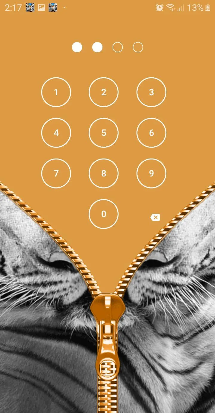 Wild Kitty Zipper Lock Screen | Indus Appstore | Screenshot