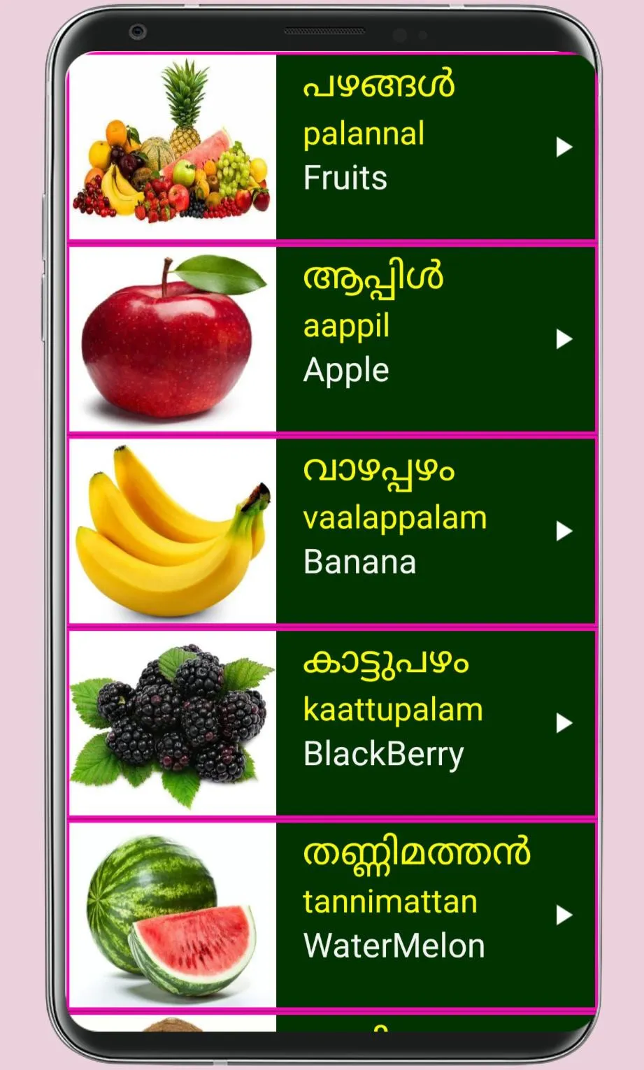 Learn Malayalam From English | Indus Appstore | Screenshot