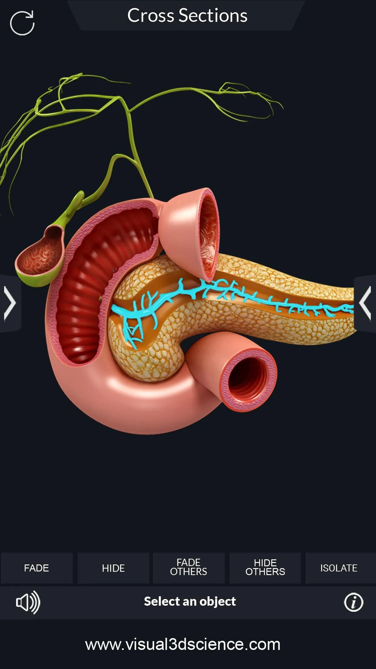 Digestive System | Indus Appstore | Screenshot