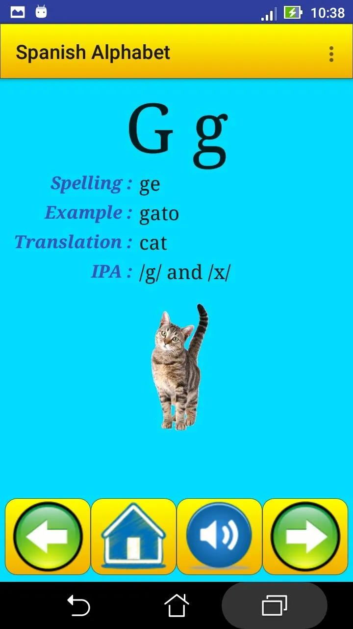 Spanish alphabet for students | Indus Appstore | Screenshot