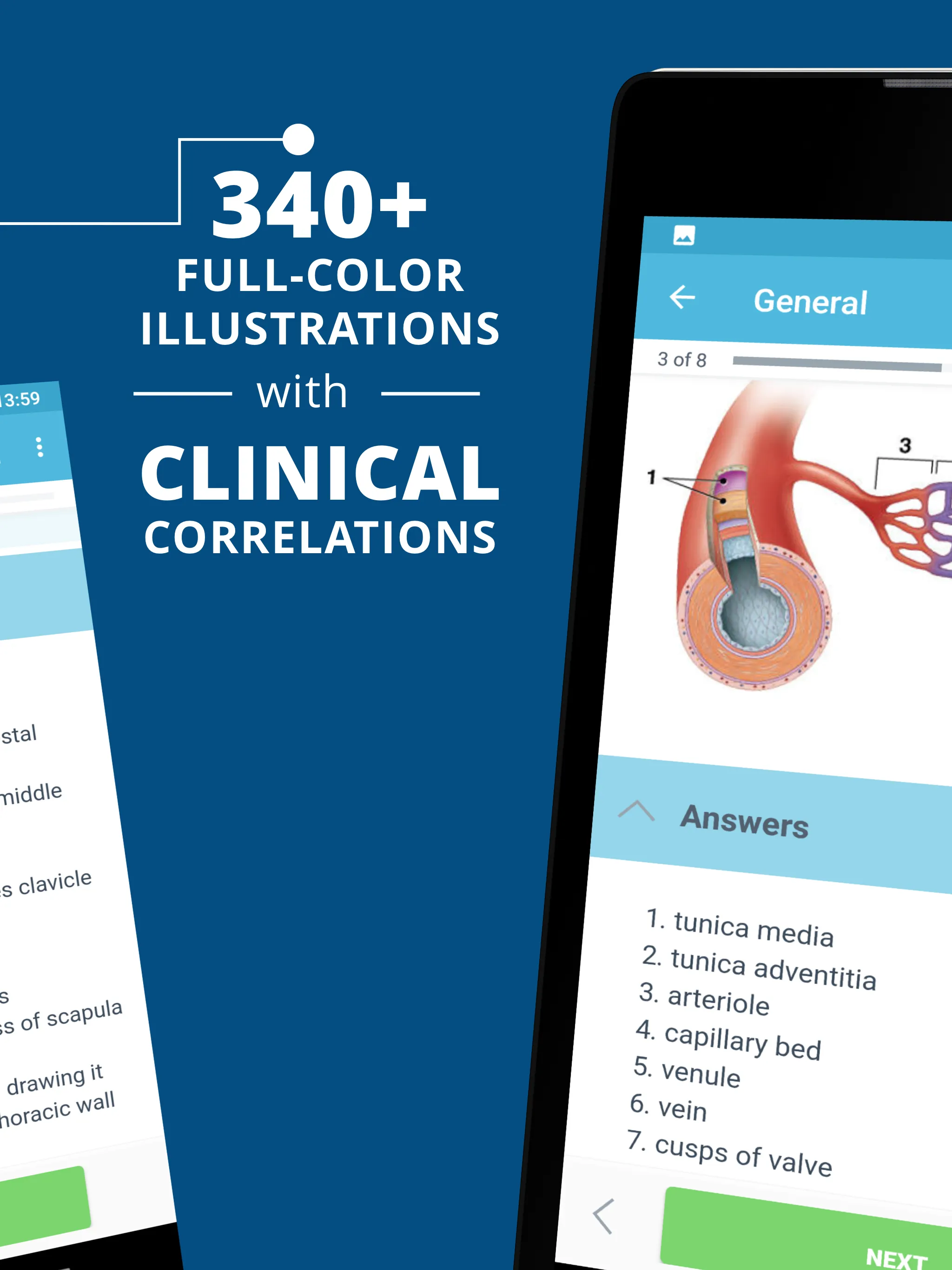 USMLE Clinical Anatomy | Indus Appstore | Screenshot