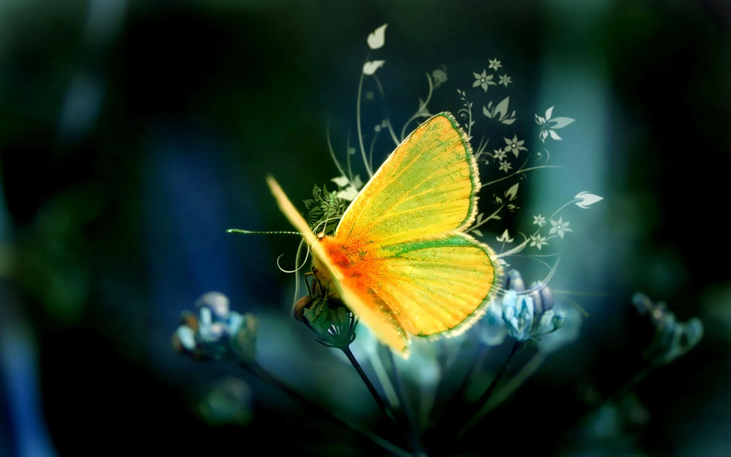 Butterflies Live Wallpaper | Indus Appstore | Screenshot