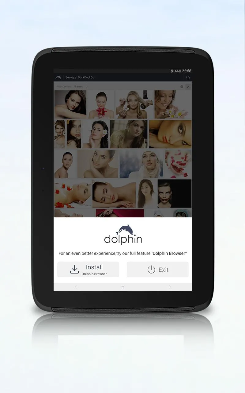 Dolphin Zero Incognito Browser | Indus Appstore | Screenshot