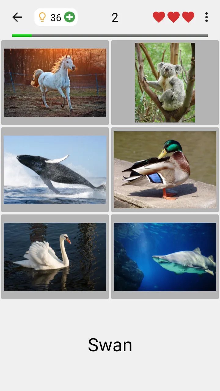 Guess Pictures and Words Quiz | Indus Appstore | Screenshot