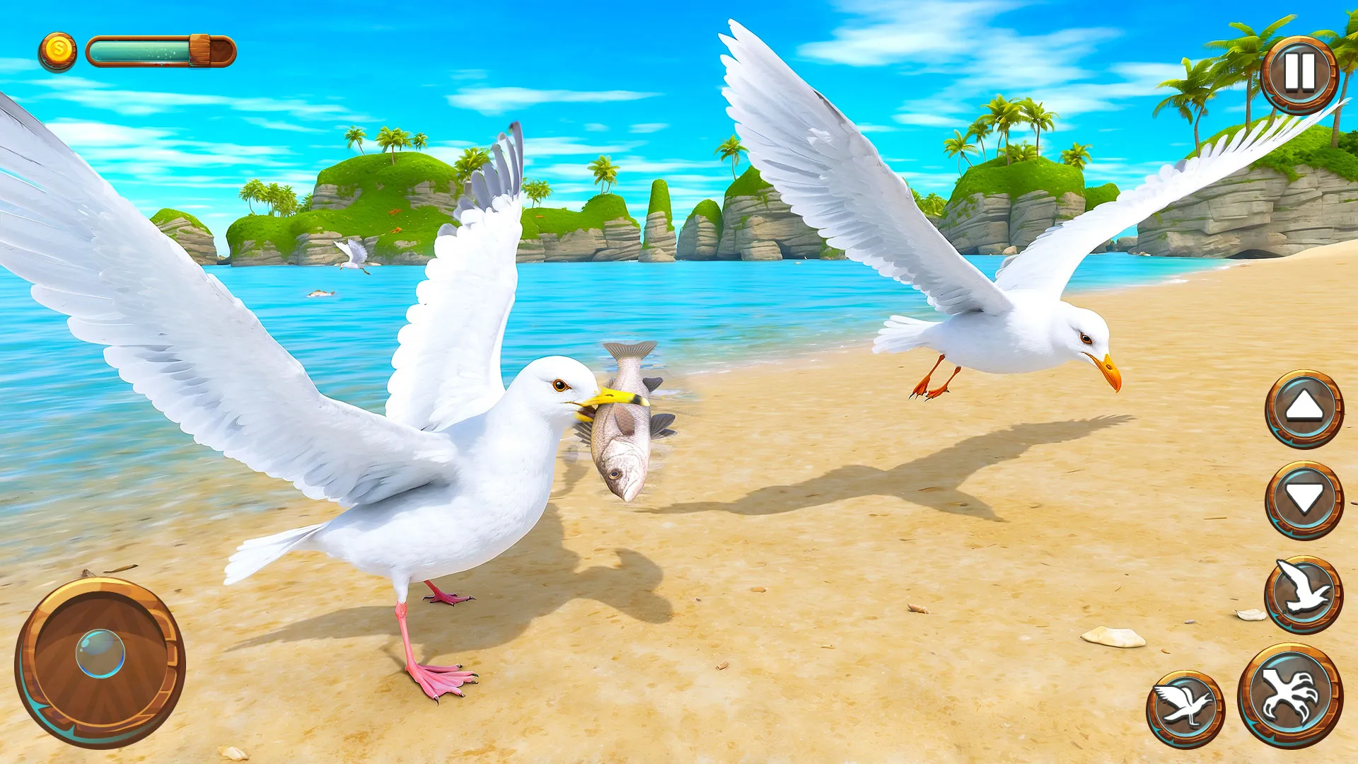 Seagull Bird Life Simulator | Indus Appstore | Screenshot