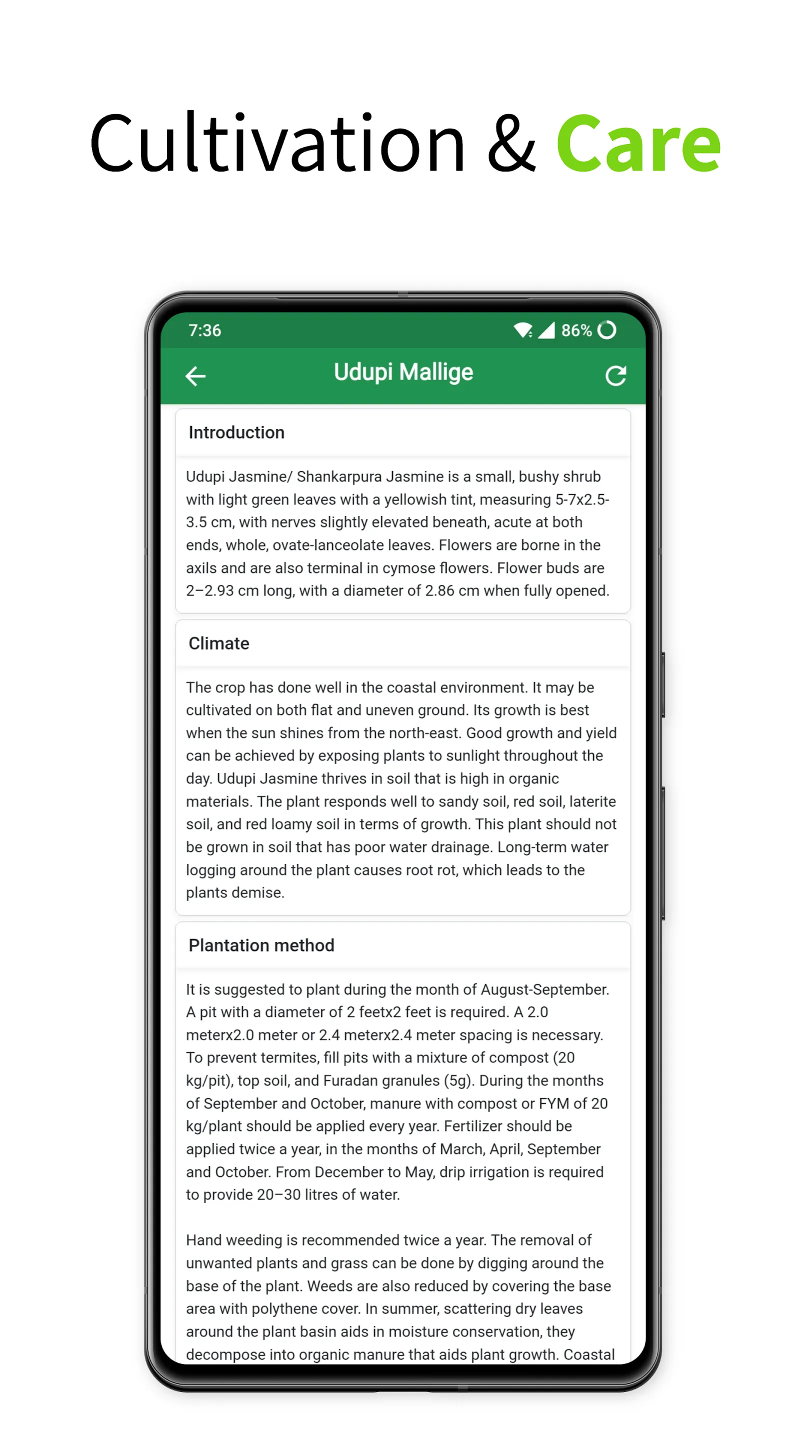 Udupi Mallige - Jasmine Flower | Indus Appstore | Screenshot