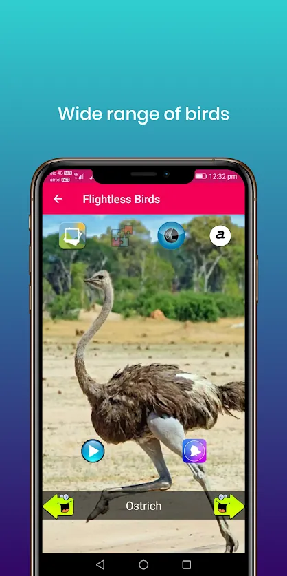 100 Bird sounds | Indus Appstore | Screenshot