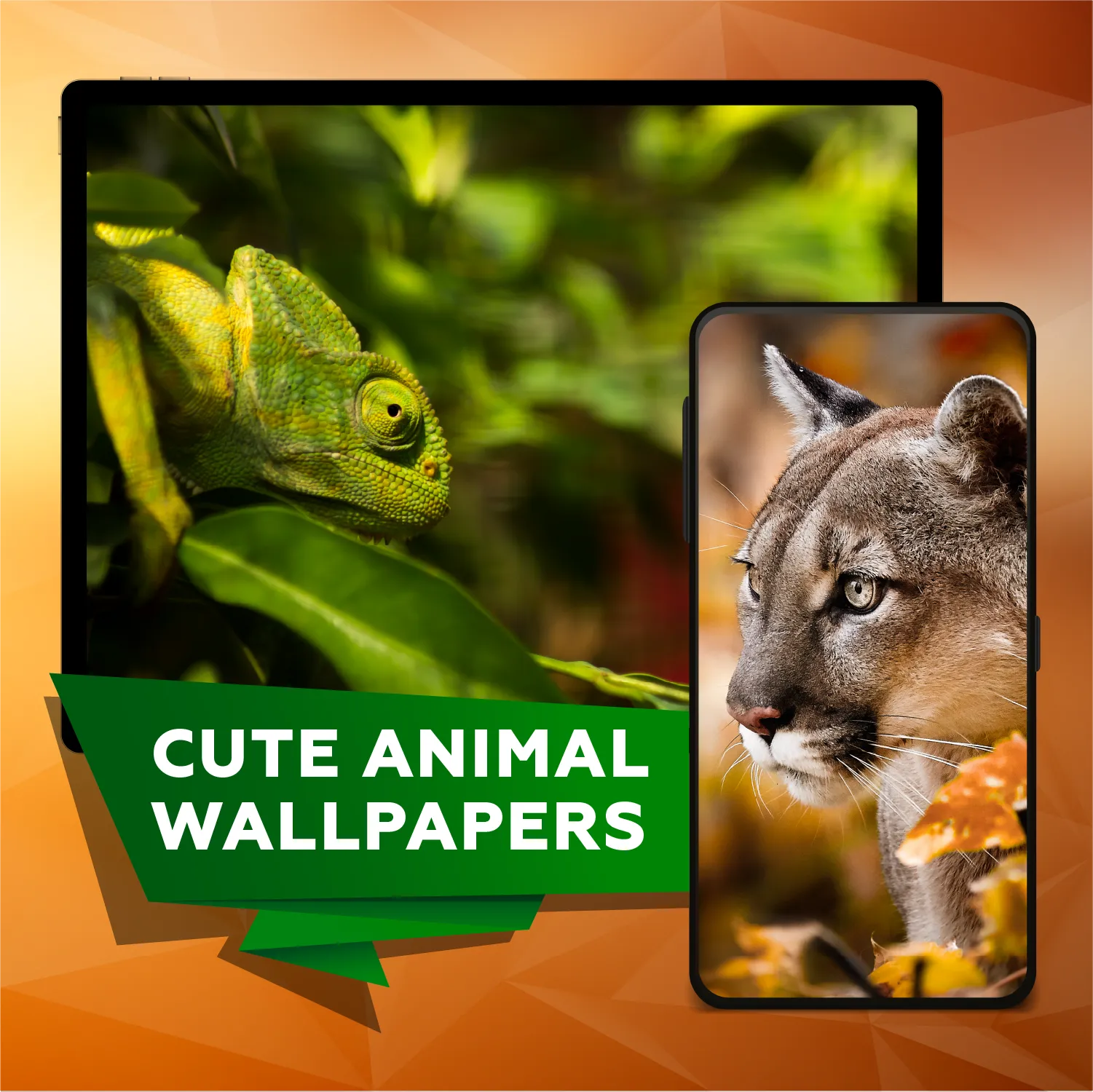 Cute animal picture wallpapers | Indus Appstore | Screenshot