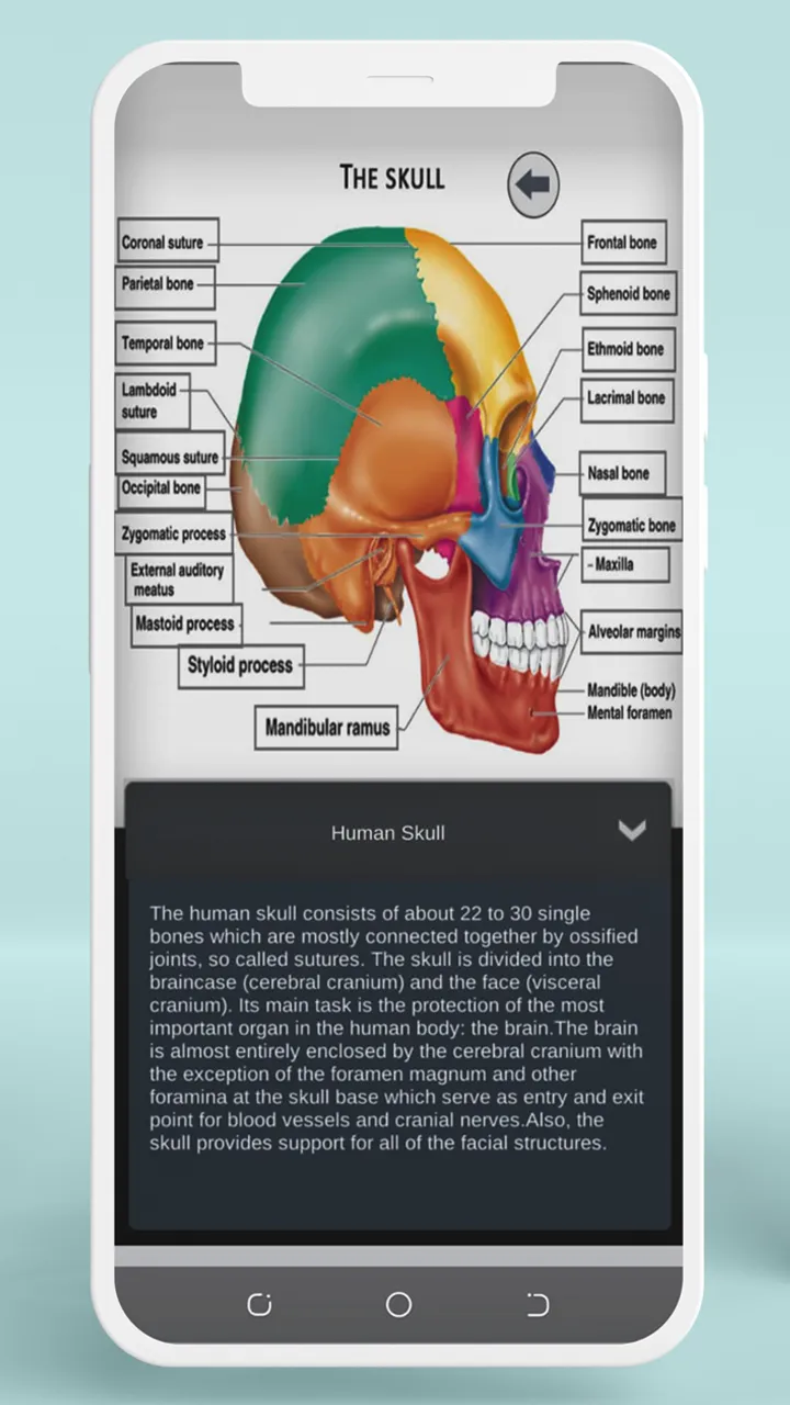 Female Anatomy 3D Anatomy App | Indus Appstore | Screenshot