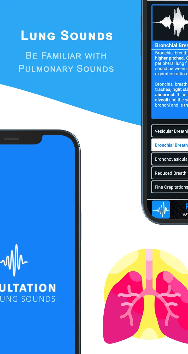 Auscultation | Heart Sounds | Indus Appstore | Screenshot