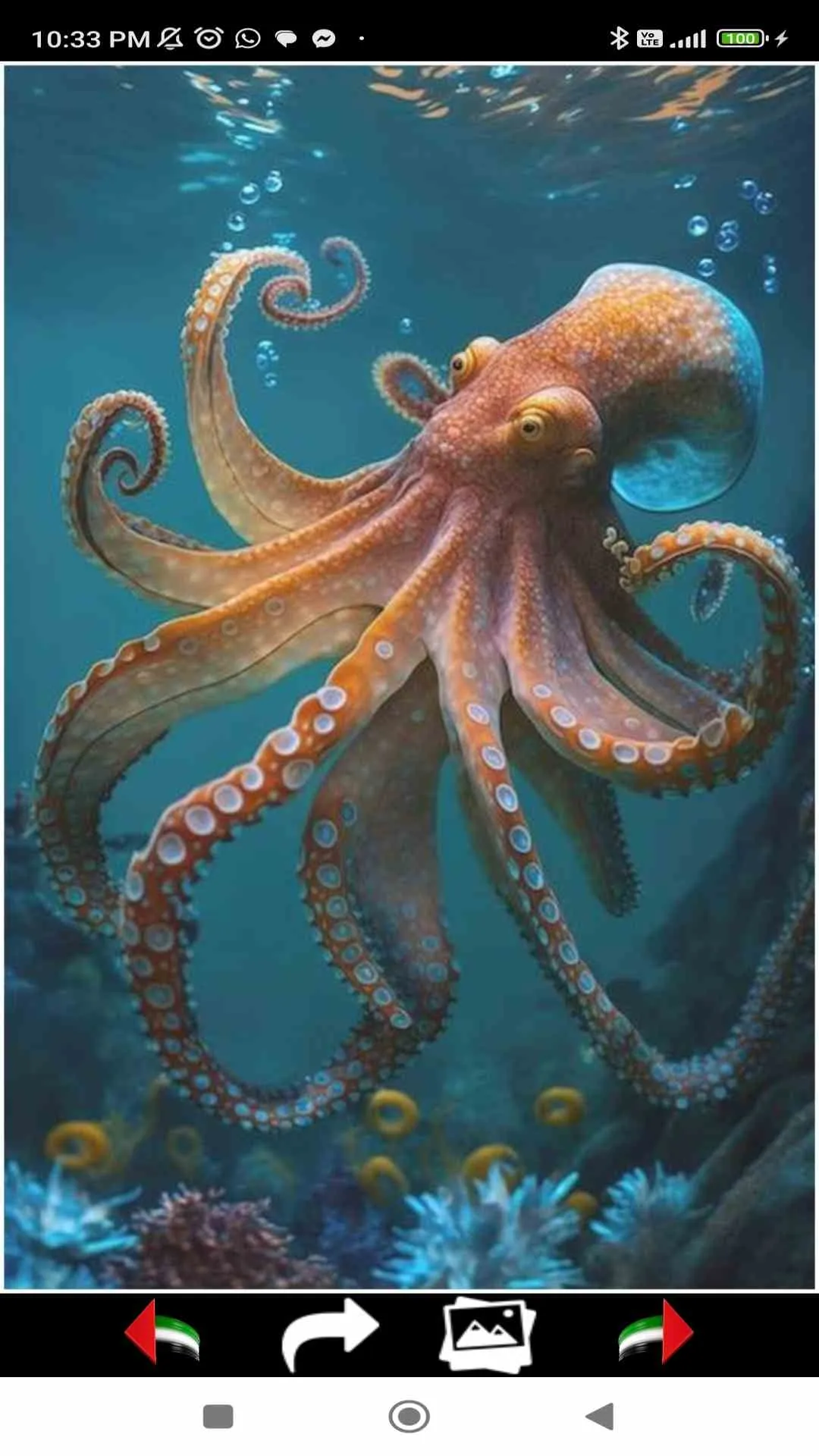 Sea Life Wallpapers | Indus Appstore | Screenshot