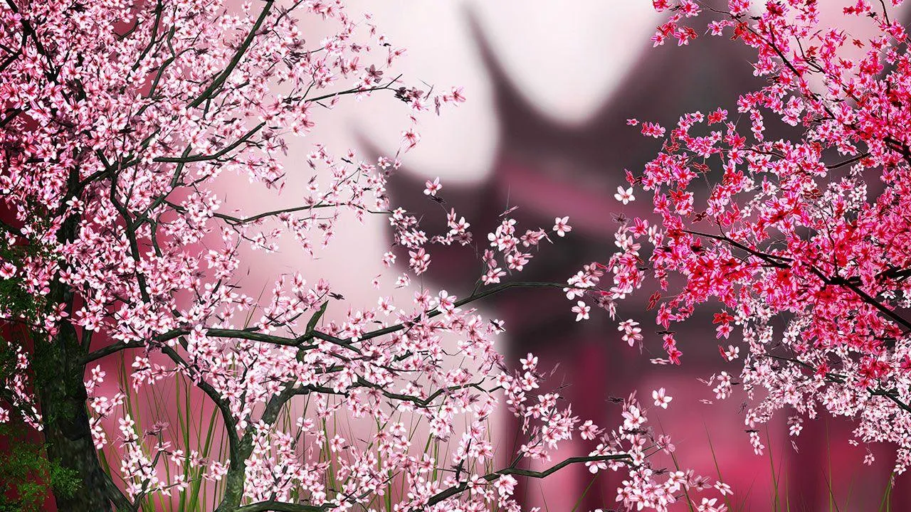 Sakura Live Wallpaper | Indus Appstore | Screenshot