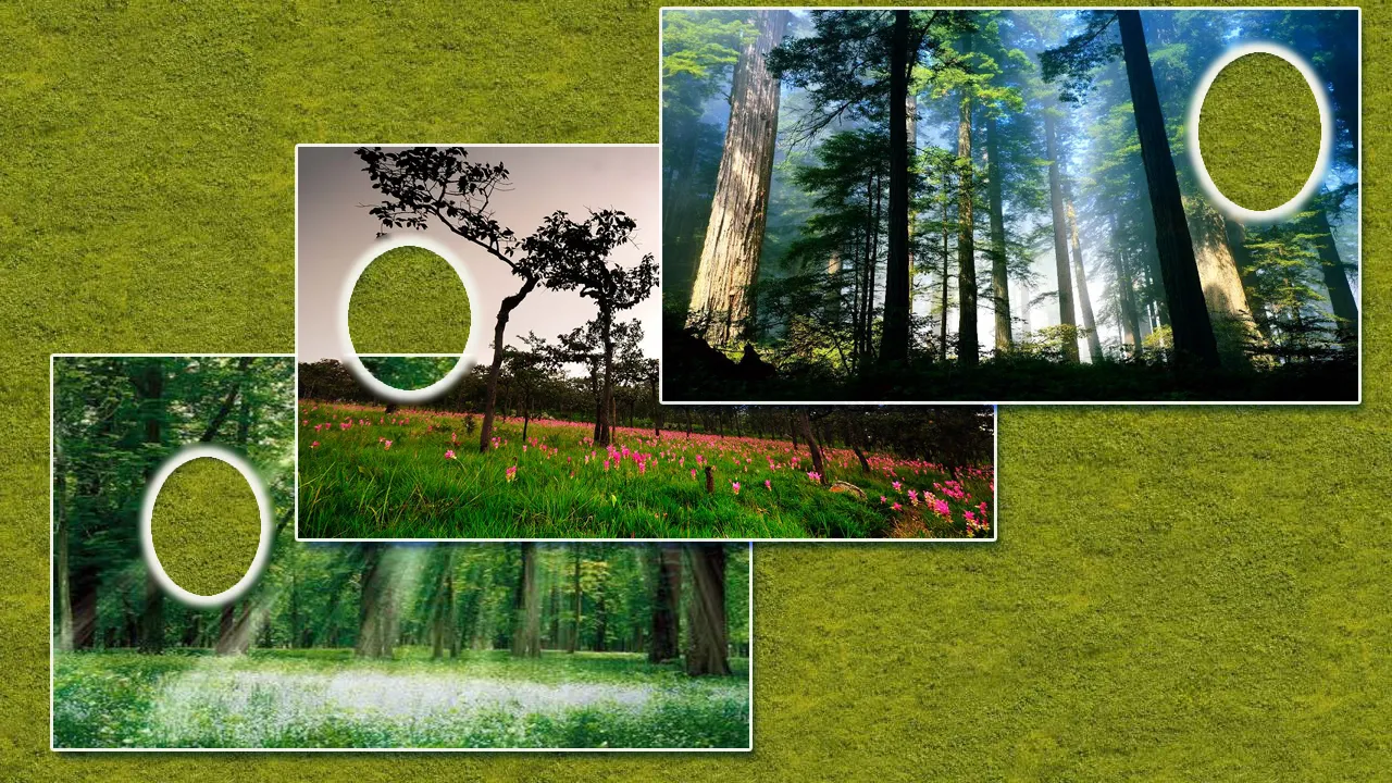 Jungle Forest Photo Frames | Indus Appstore | Screenshot