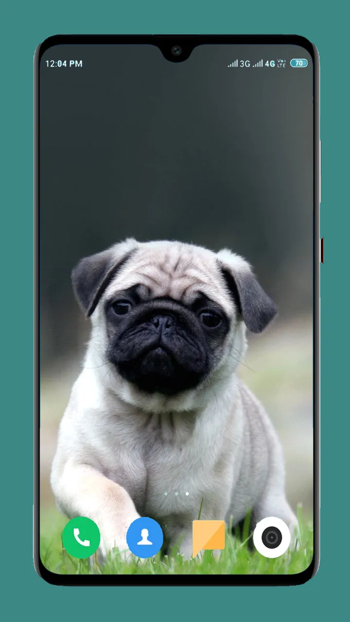 Dog Wallpaper 4K | Indus Appstore | Screenshot