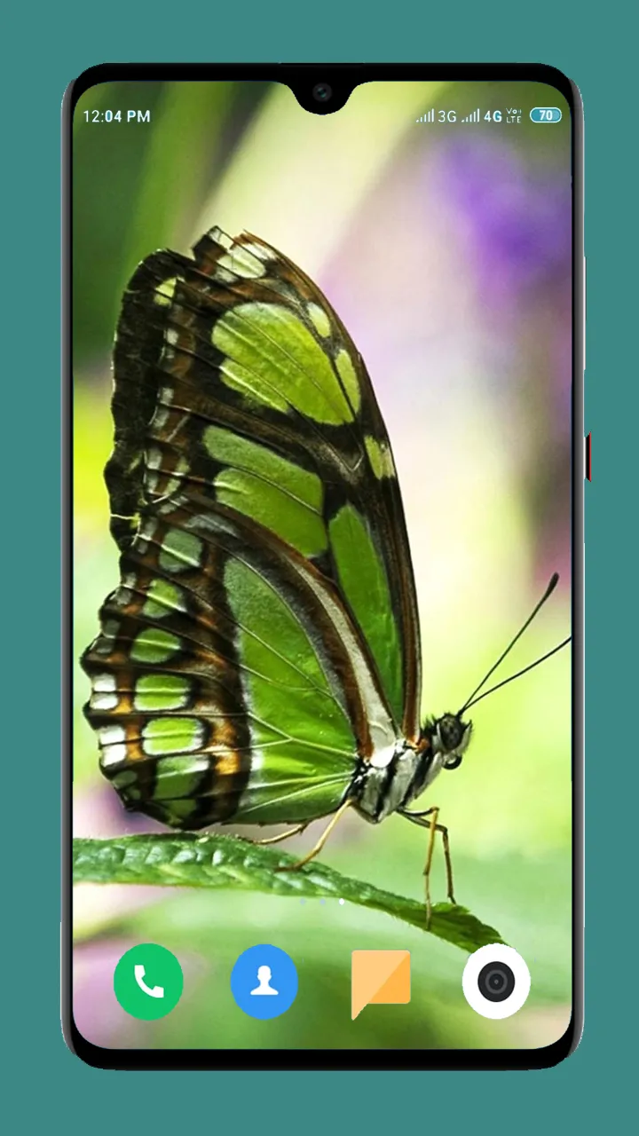 Butterfly Wallpaper 4K | Indus Appstore | Screenshot