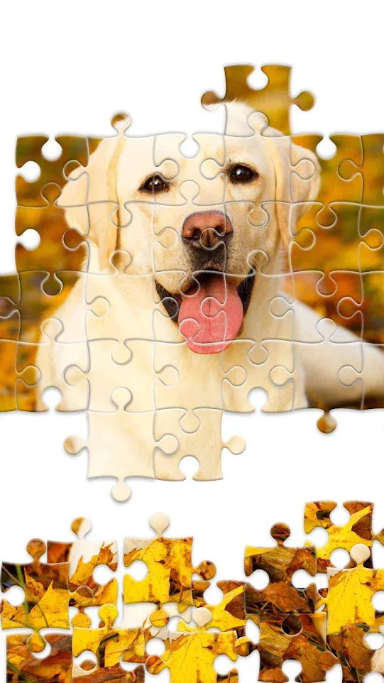 Jigsaw1000: Jigsaw puzzles | Indus Appstore | Screenshot