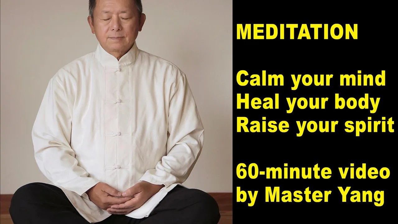 Qigong Meditation Master Yang | Indus Appstore | Screenshot