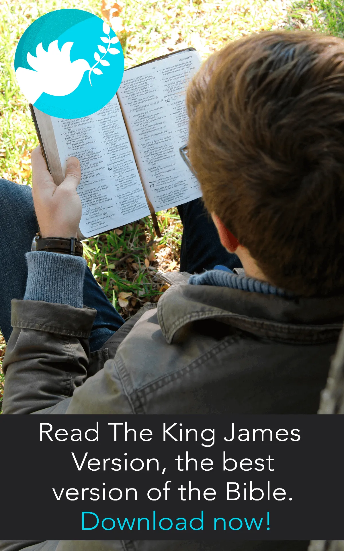 King James Bible Offline | Indus Appstore | Screenshot