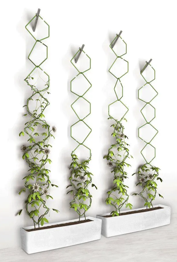 Vertical Garden | Indus Appstore | Screenshot