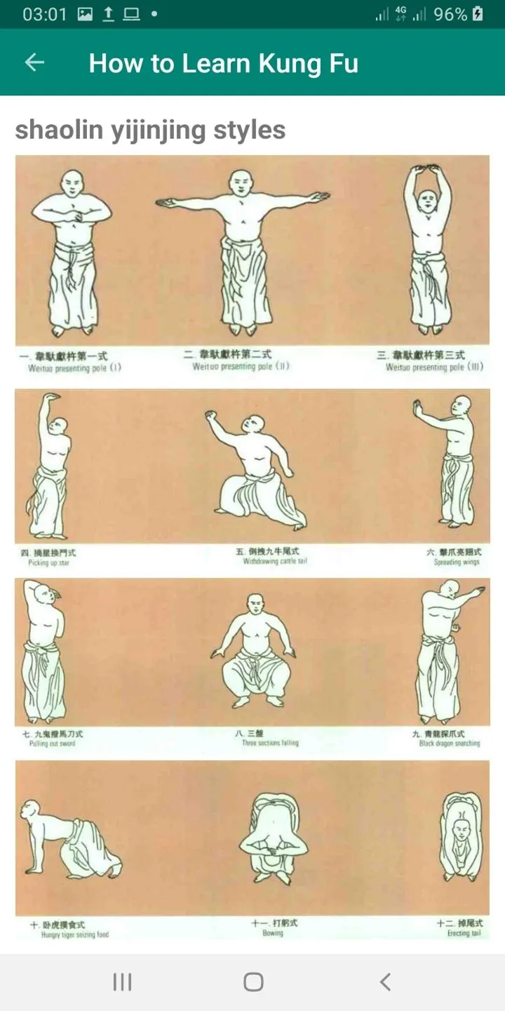Learn Kung Fu at Home | Indus Appstore | Screenshot