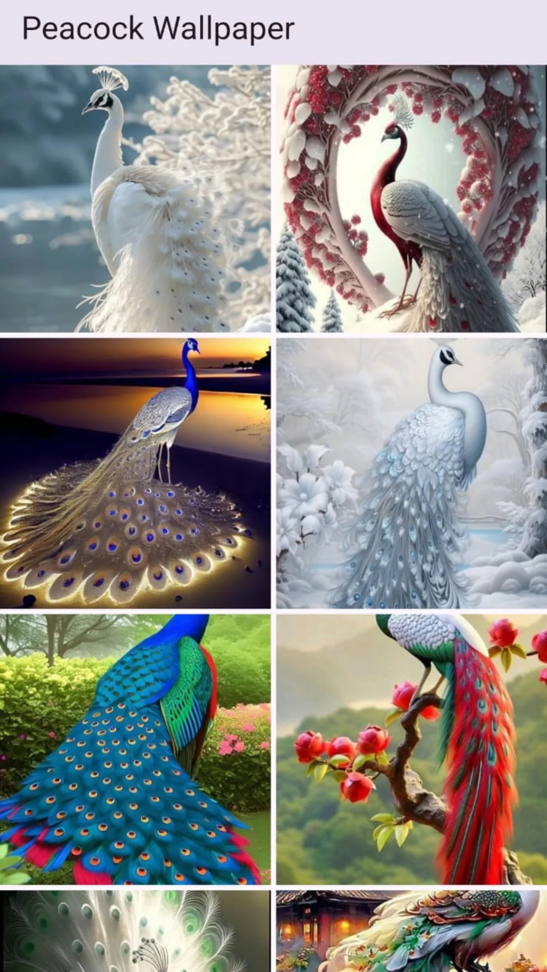Peacock Wallpaper | Indus Appstore | Screenshot