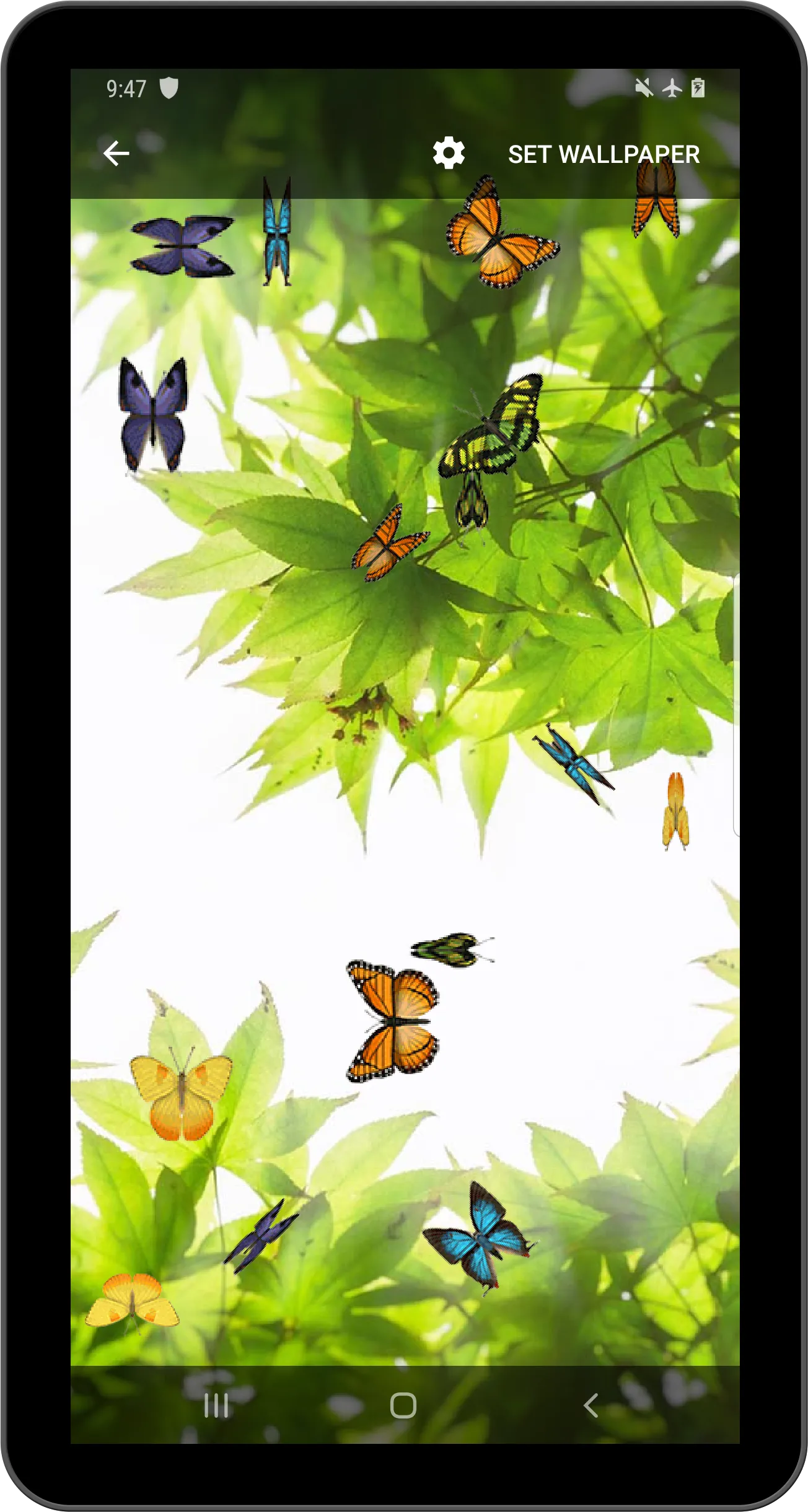 Butterfly and Blossom live wal | Indus Appstore | Screenshot