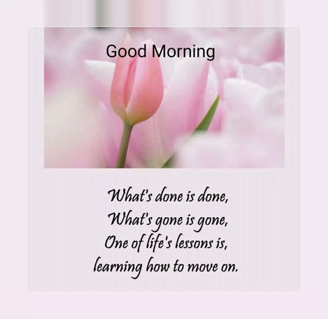 Good Morning Love Messages | Indus Appstore | Screenshot