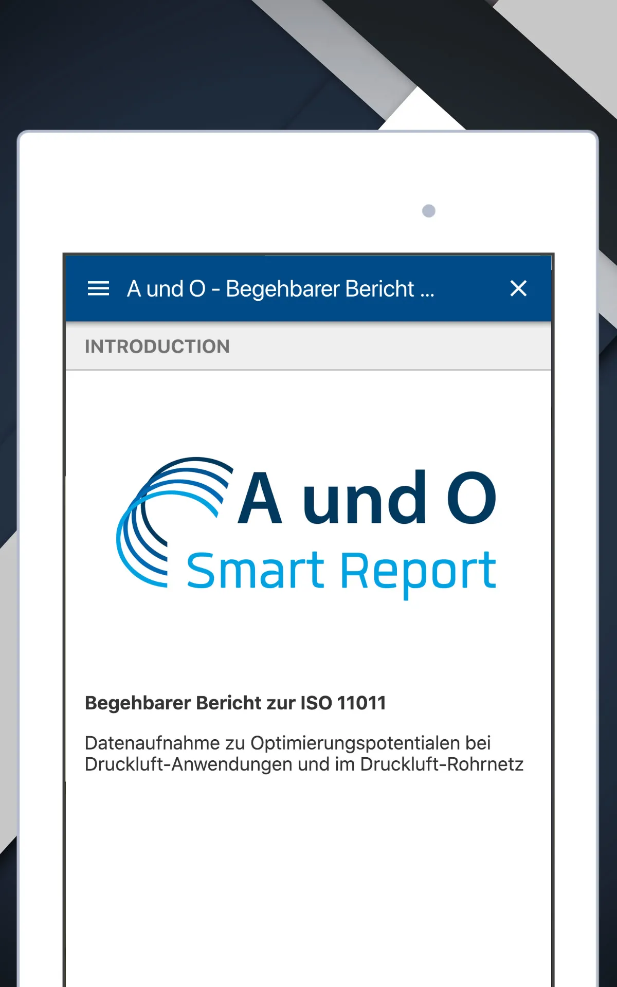 A und O Smart Report | Indus Appstore | Screenshot