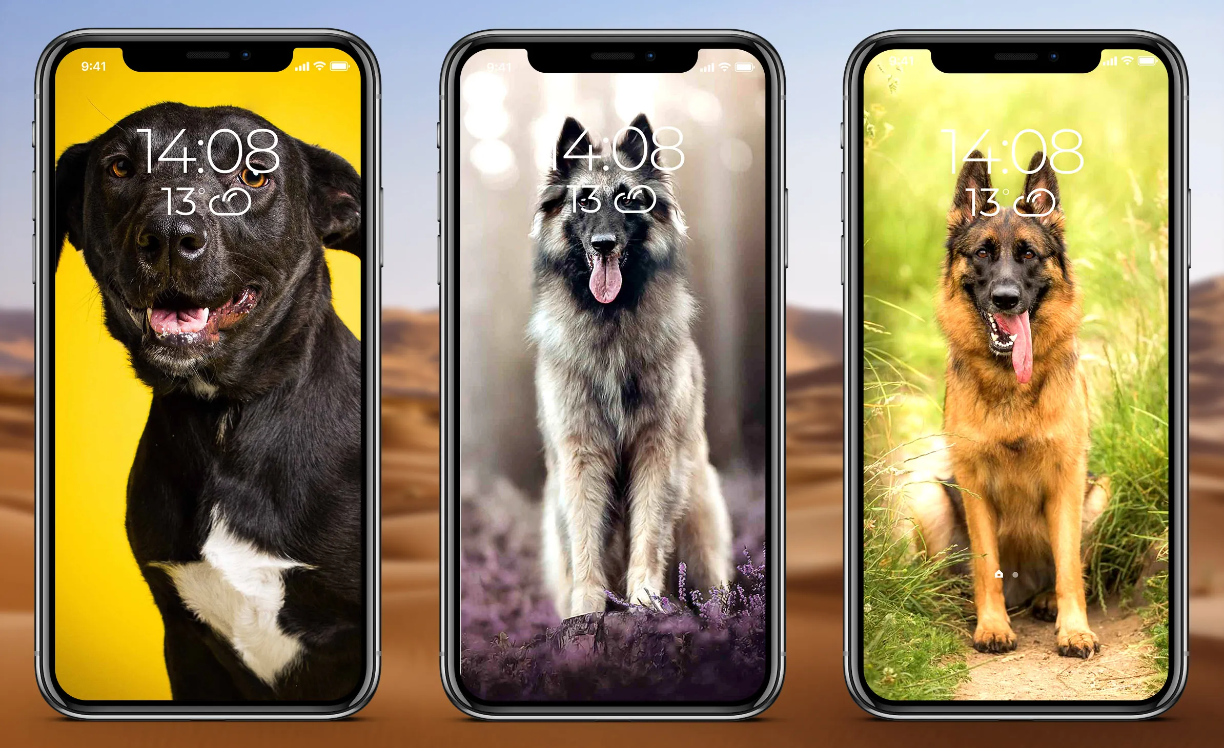 German Shepherd Wallpaper | Indus Appstore | Screenshot