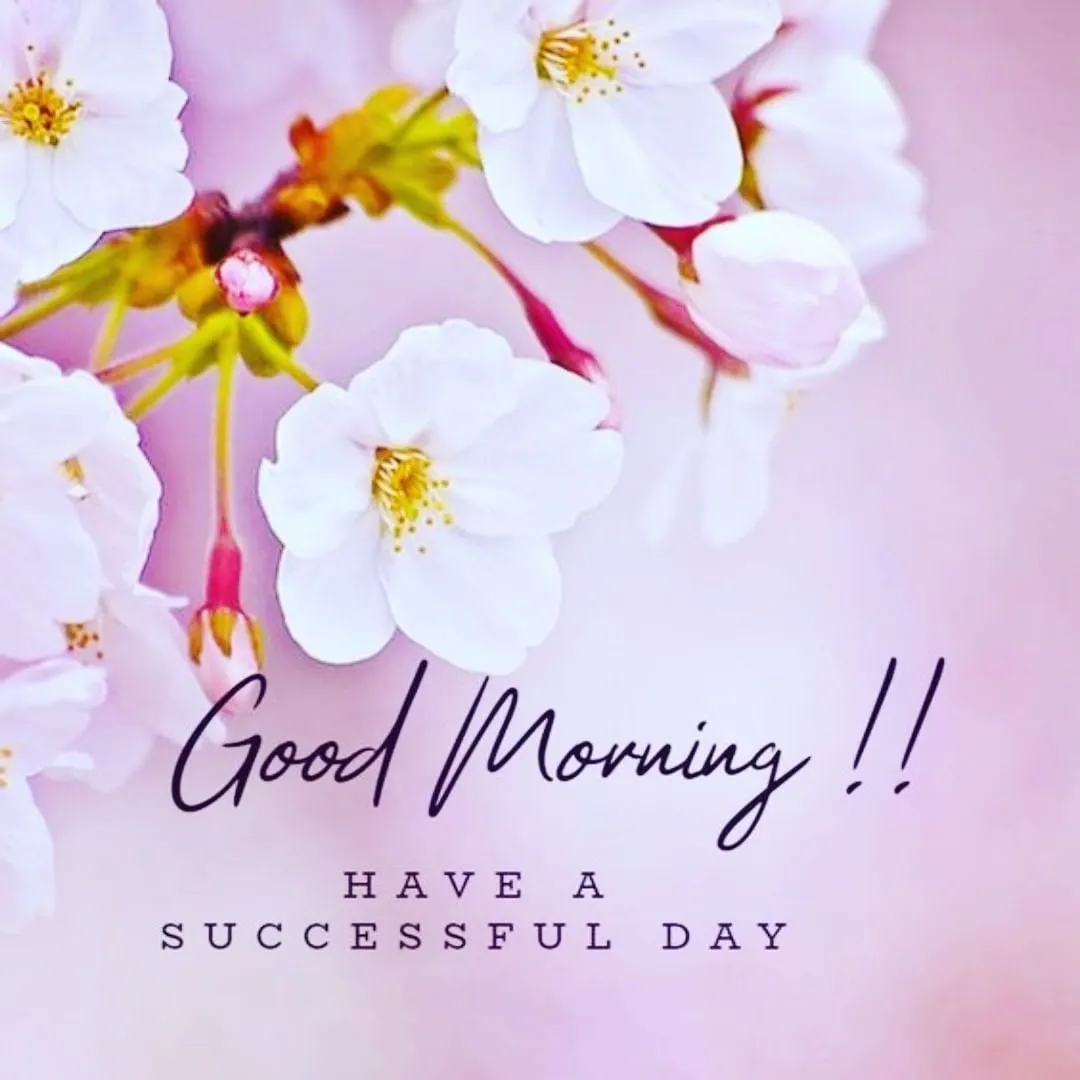 Good Morning Flower Wishes | Indus Appstore | Screenshot