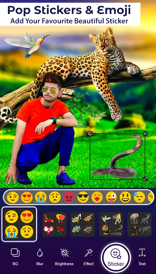 Animal photo Editor | Indus Appstore | Screenshot