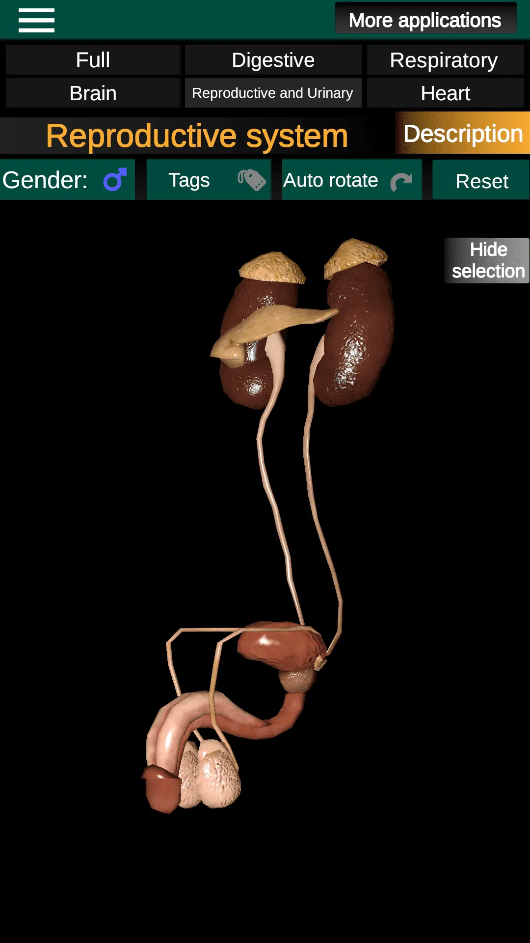 Internal Organs in 3D Anatomy | Indus Appstore | Screenshot