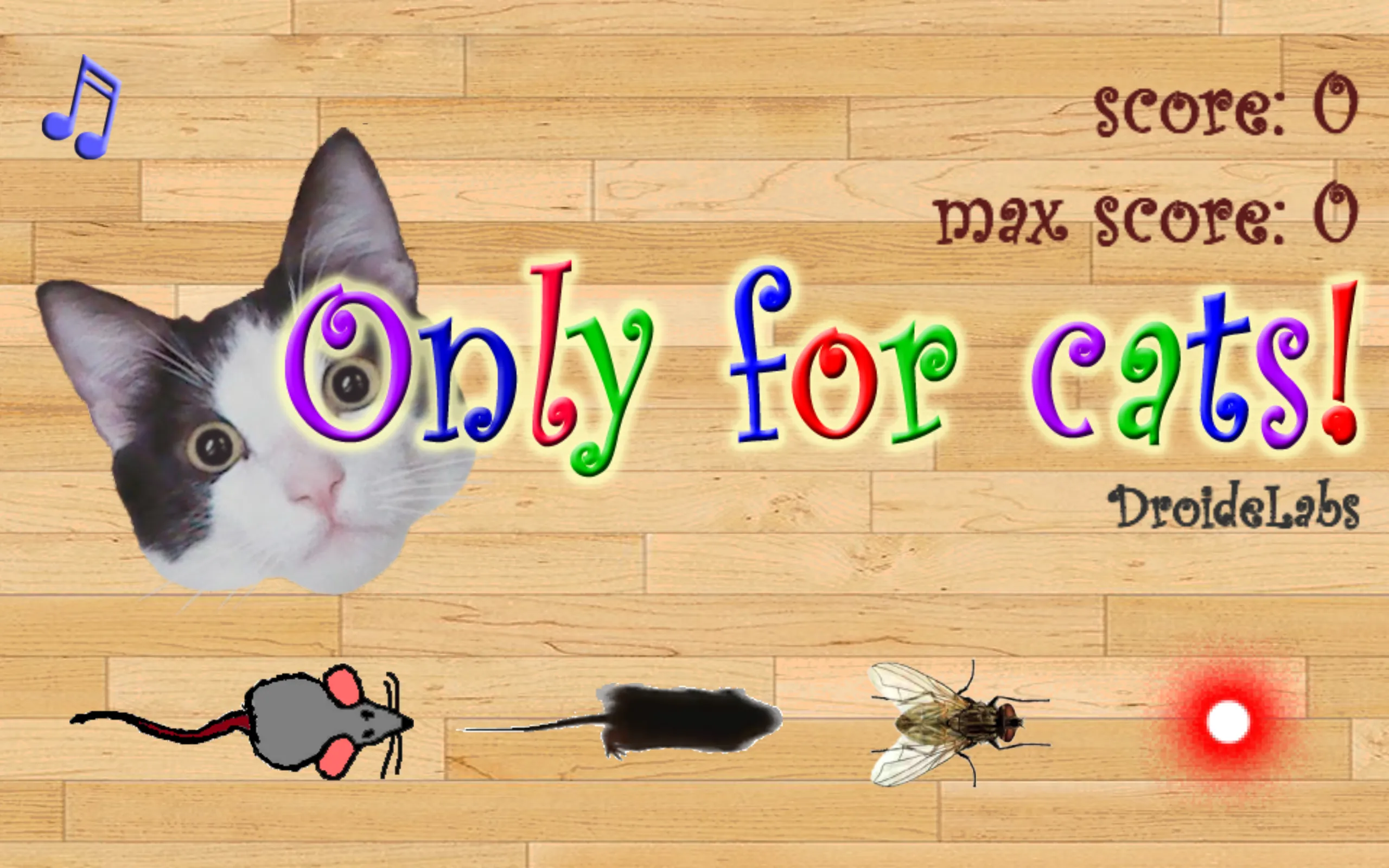 Only for Cats | Indus Appstore | Screenshot