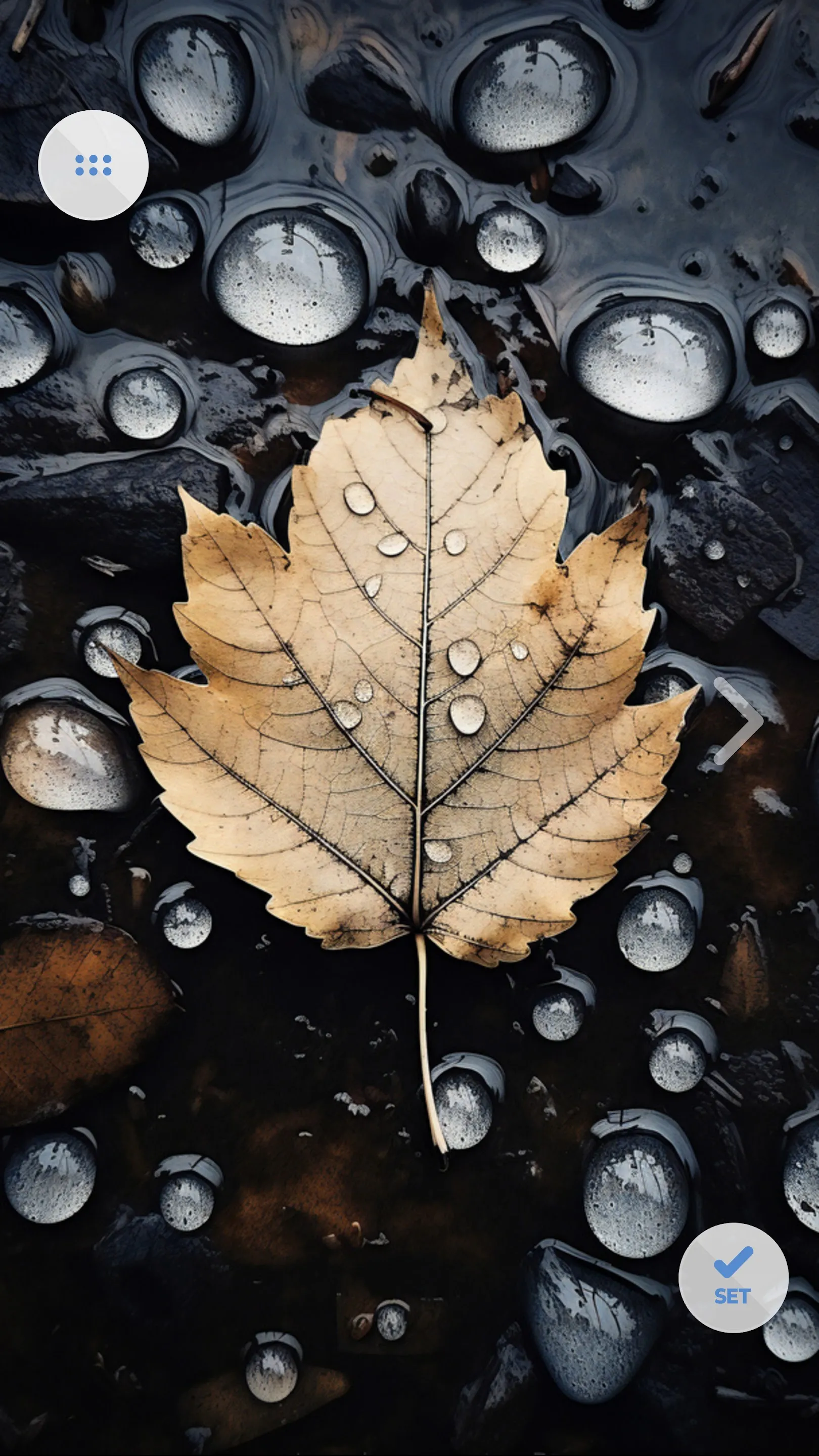 Autumn Cool Wallpapers | Indus Appstore | Screenshot