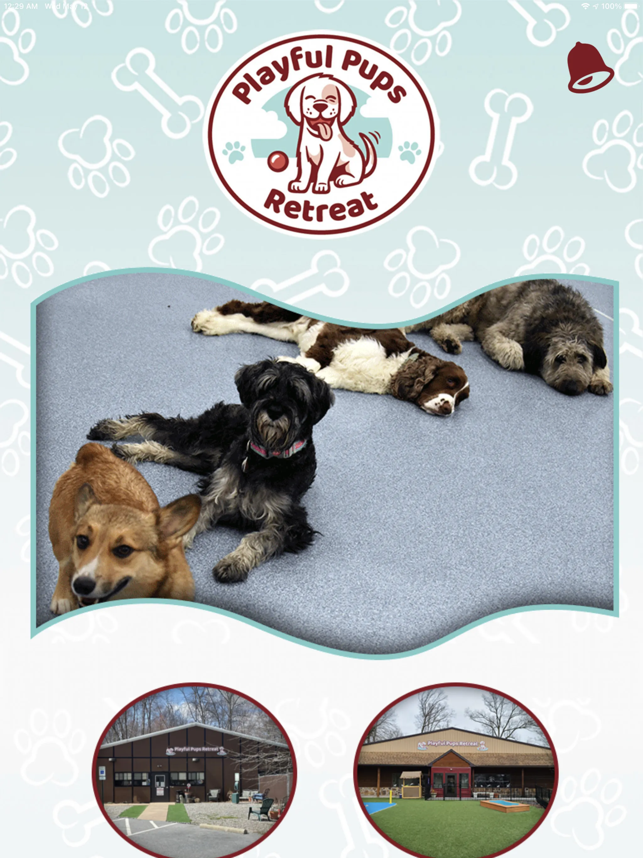 Playful Pups Retreat | Indus Appstore | Screenshot