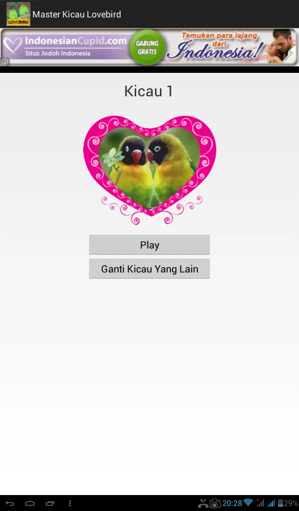 Master Kicau Lovebird | Indus Appstore | Screenshot