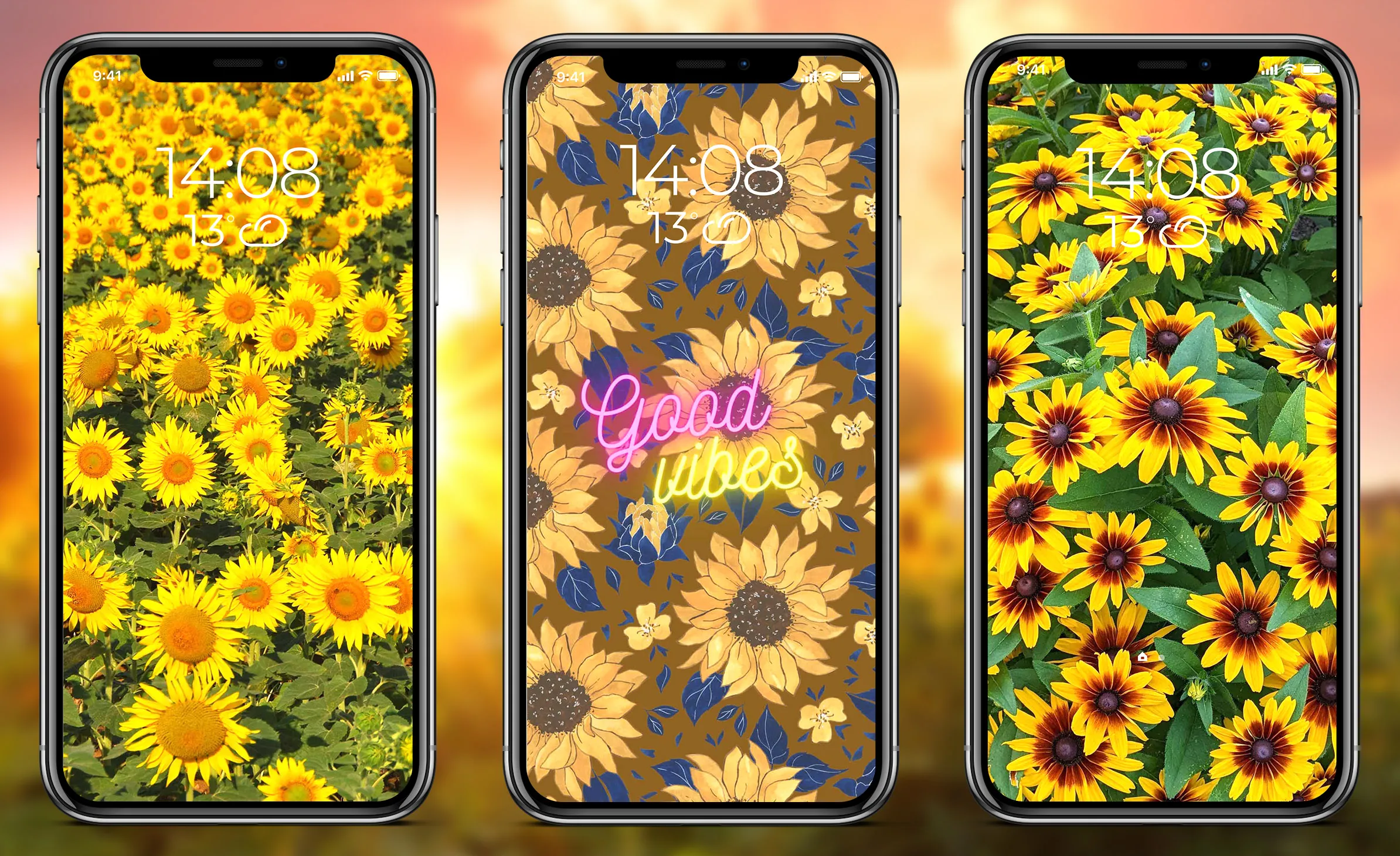 Sunflower Wallpapers | Indus Appstore | Screenshot