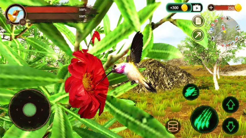 The Hummingbird | Indus Appstore | Screenshot