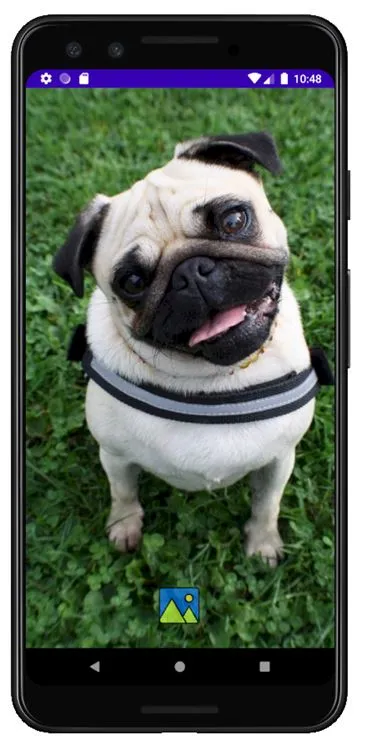 Fondos de Pantalla de Perros P | Indus Appstore | Screenshot