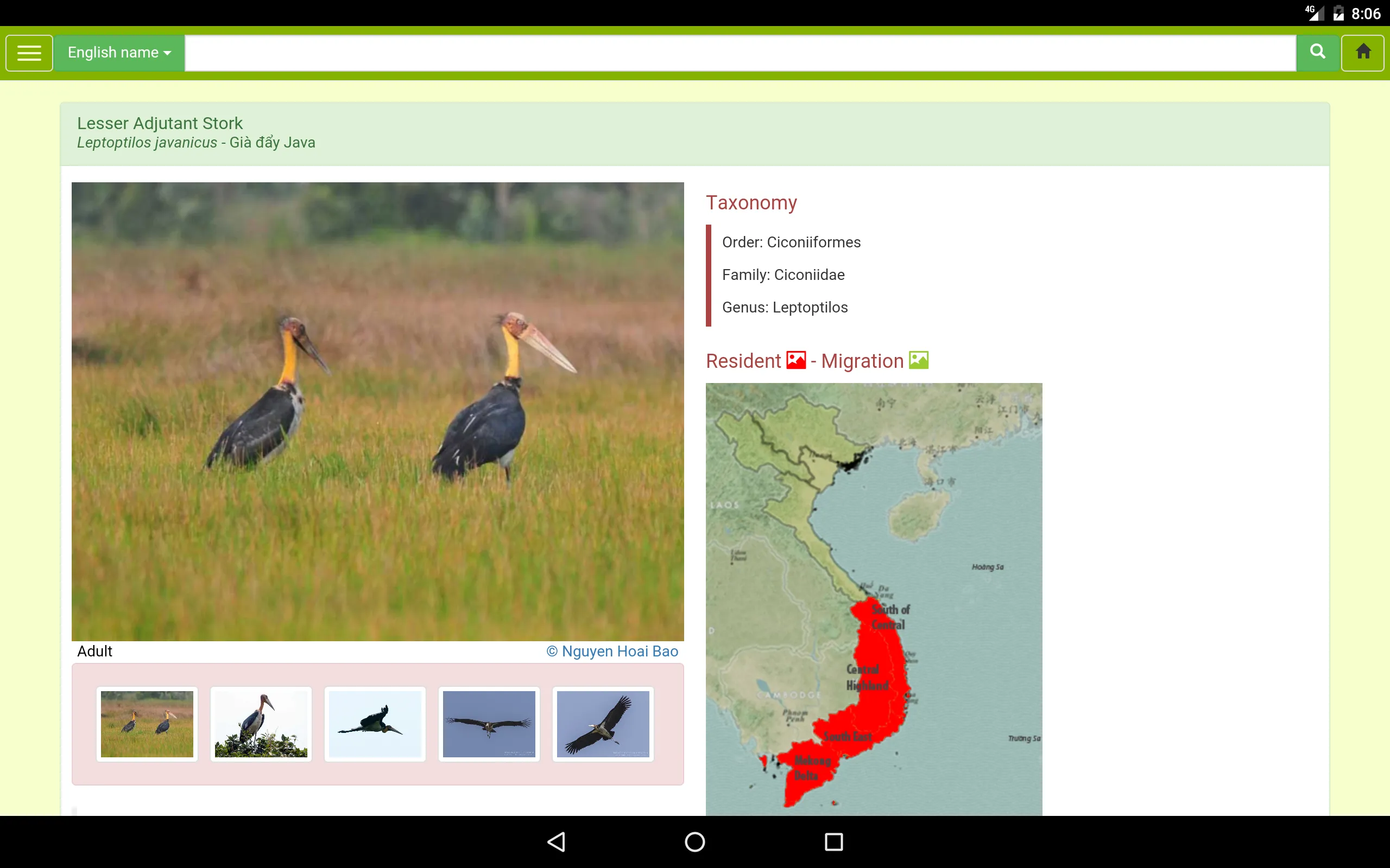 Vietnam Birds | Indus Appstore | Screenshot