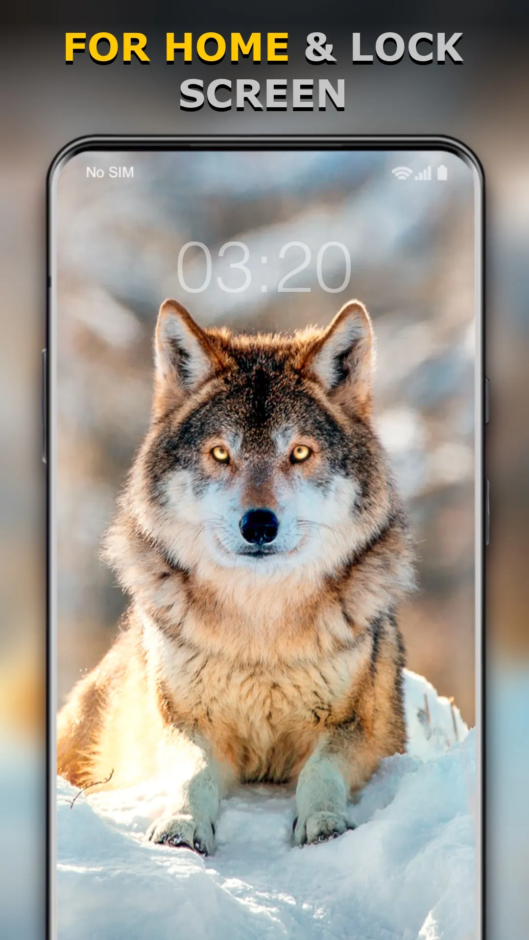 Wolf Wallpaper HD: Backgrounds | Indus Appstore | Screenshot