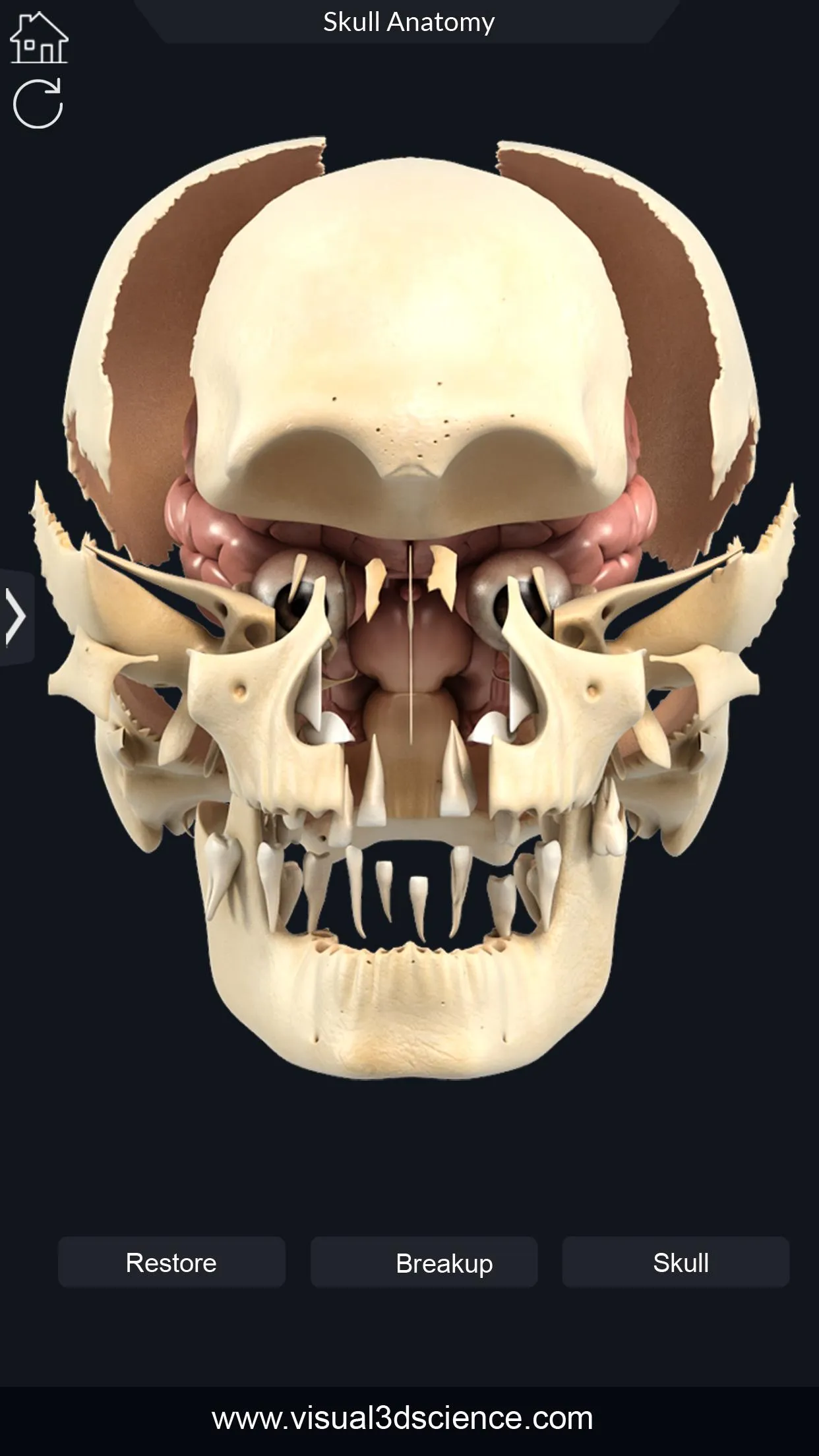 Skull Anatomy Pro. | Indus Appstore | Screenshot