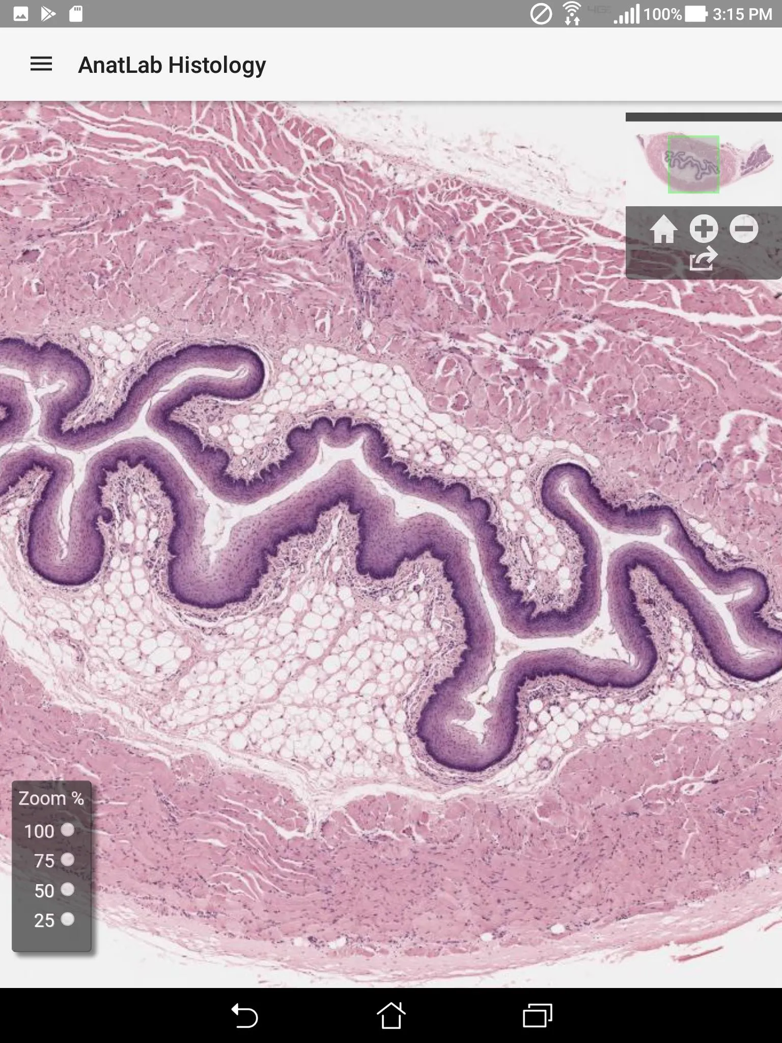 AnatLab Histology | Indus Appstore | Screenshot