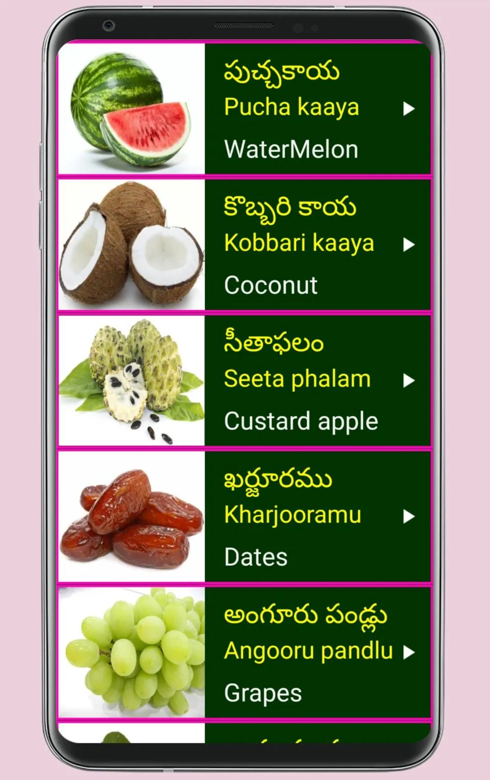 Learn Telugu From English | Indus Appstore | Screenshot